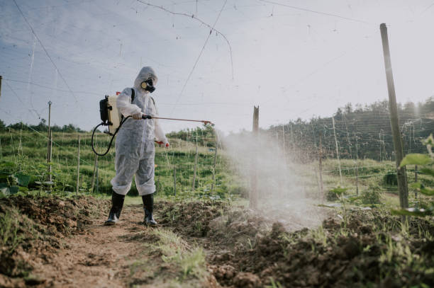 Best Mosquito Control Services  in Chadwicks, NY