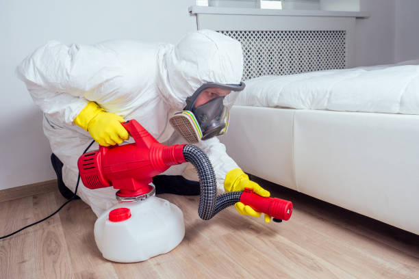 Professional Pest Control in Chadwicks, NY