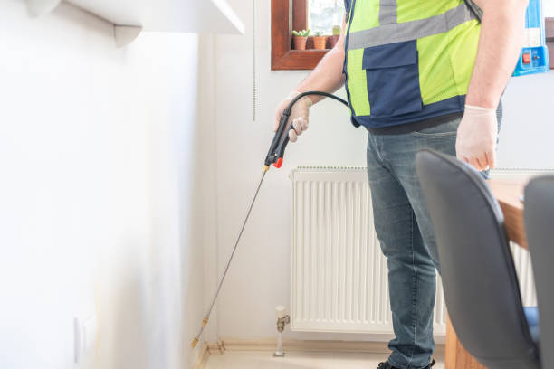 Best Local Pest Control Services  in Chadwicks, NY