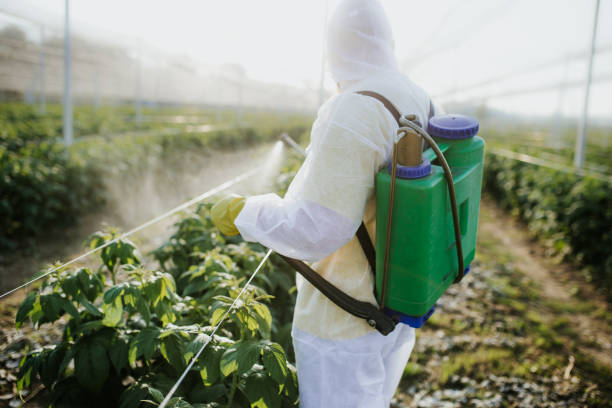 Best Commercial Pest Control Services  in Chadwicks, NY